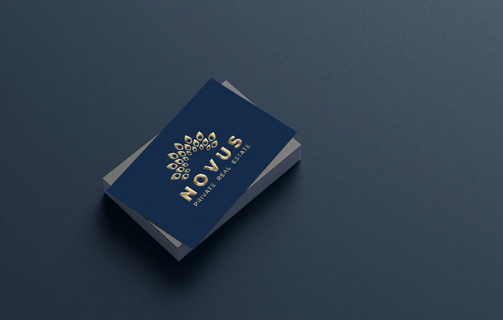 portfolio-novus-biglietto-da-visita-b-1700×1080