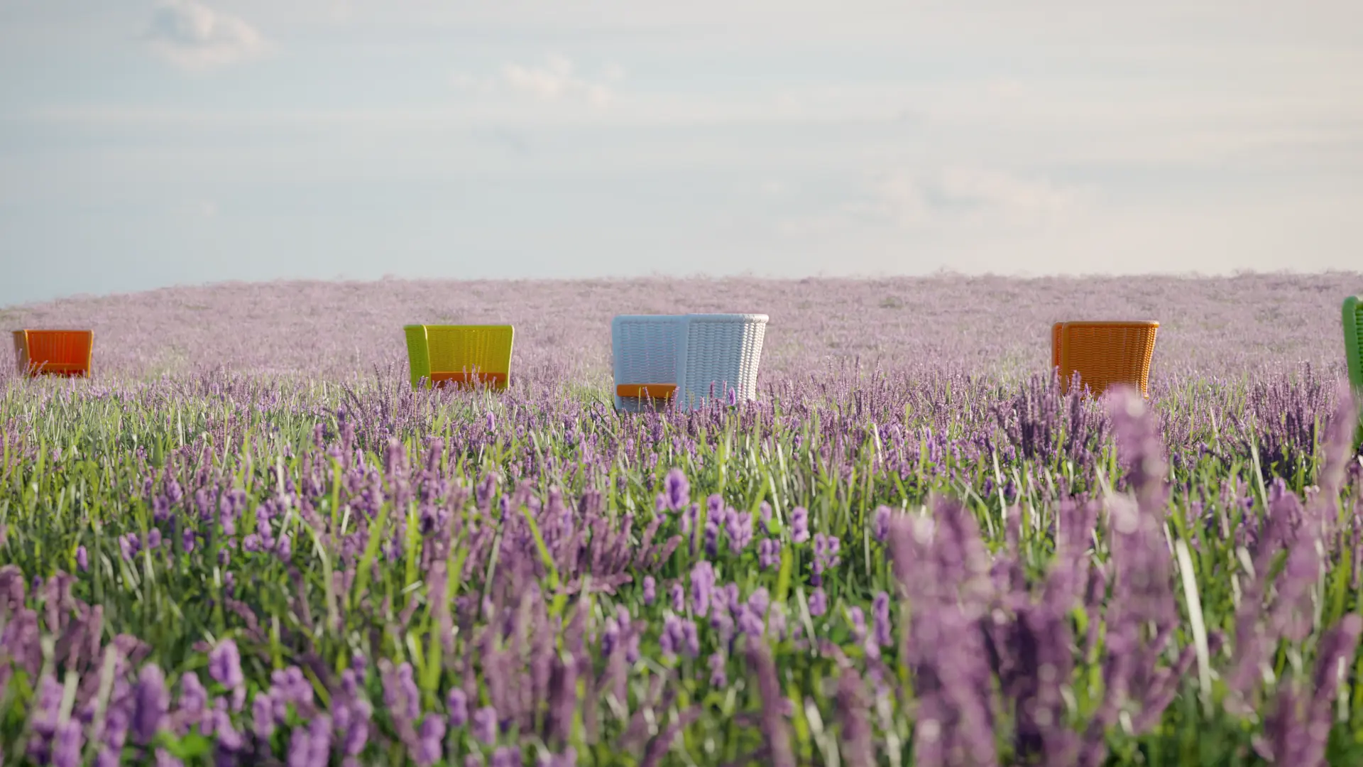 portfolio-paola-lenti-ami-1920×1080