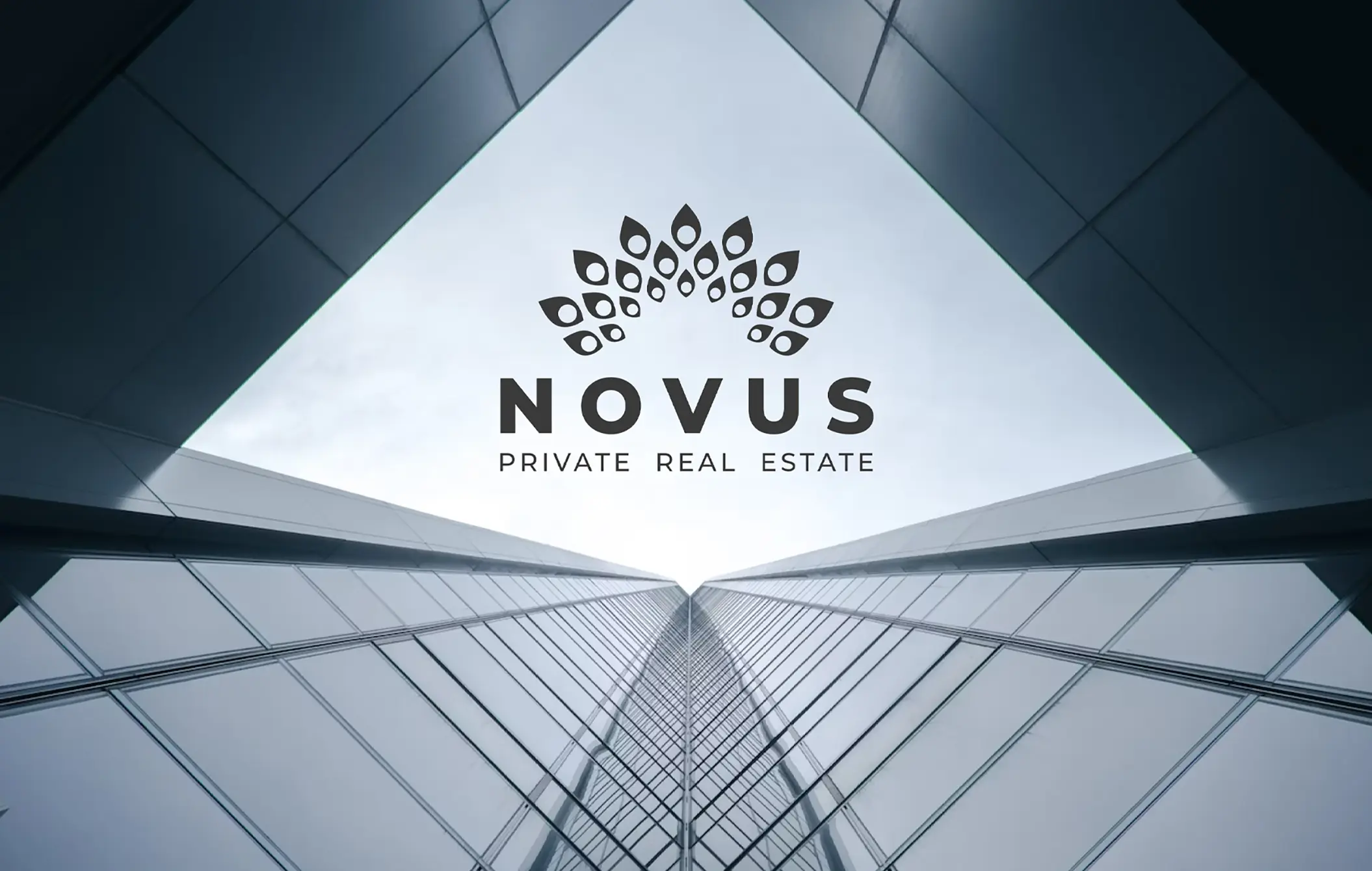Novus